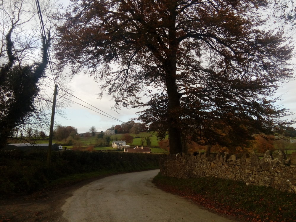 IMG_20171104_121611.jpg