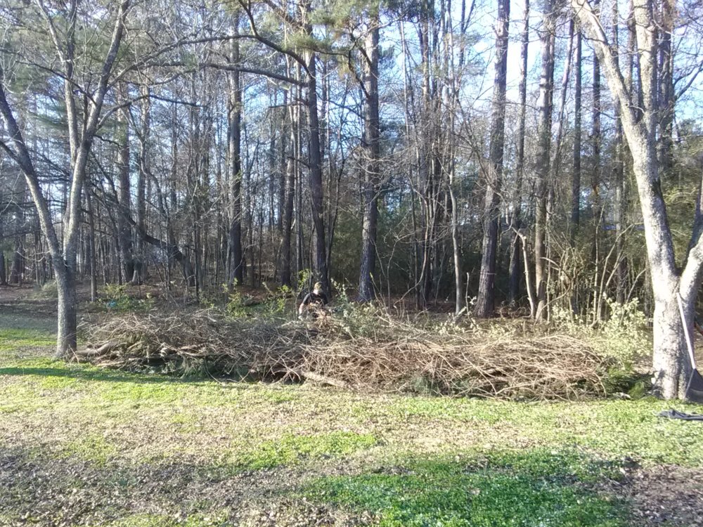 IMG_20180106_153508.jpg