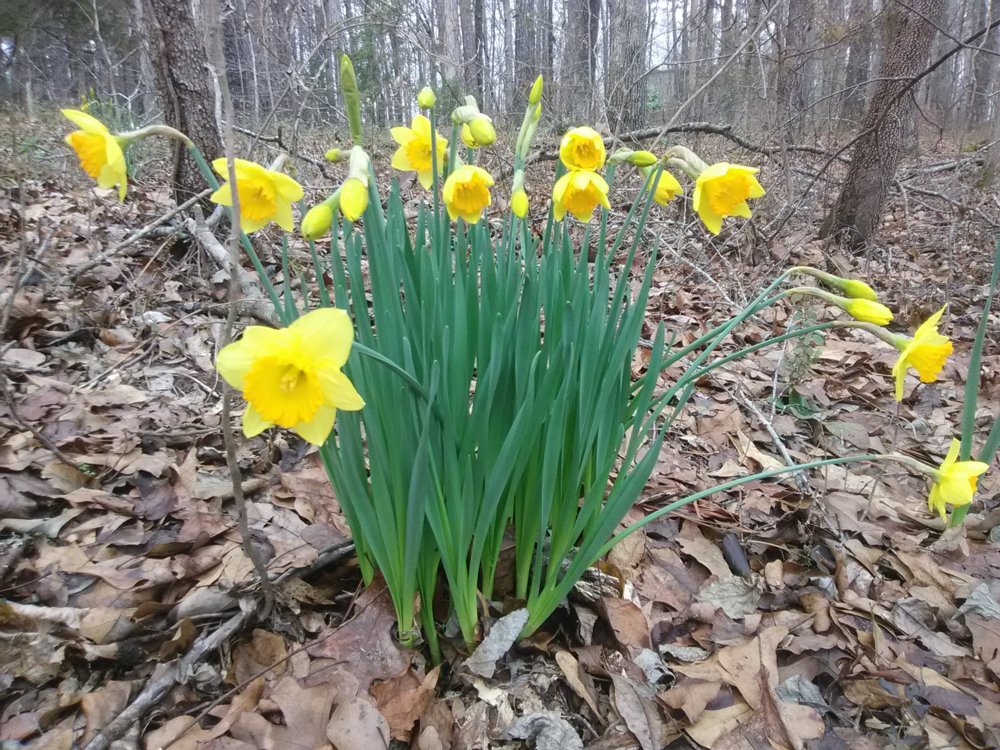 IMG_20180213_122746.jpg