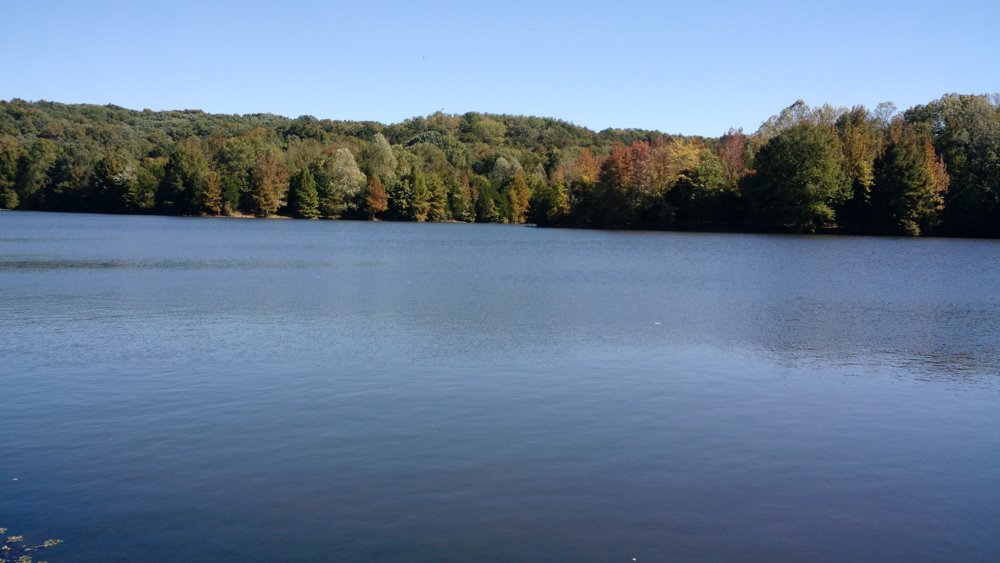 IMG_20181020_131115027.jpg