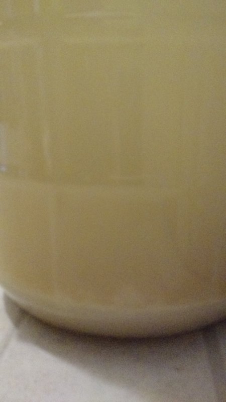 IMG_20190218_091411188.jpg