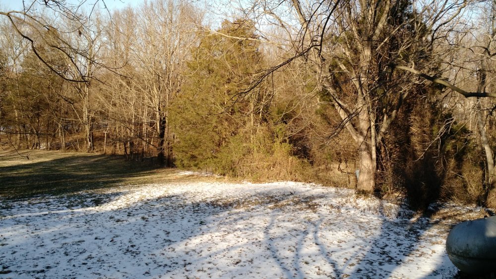 IMG_20190305_155753174.jpg