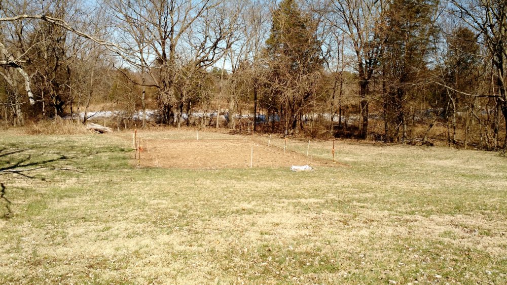 IMG_20190306_115942868.jpg
