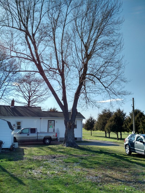 IMG_20190331_164503270_HDR.jpg