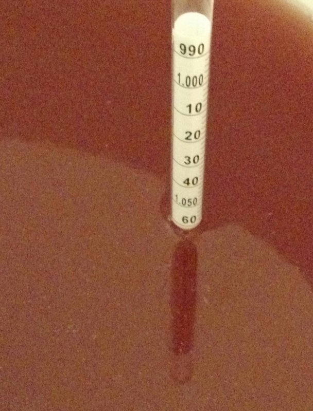 IMG_20190719_220147.jpg