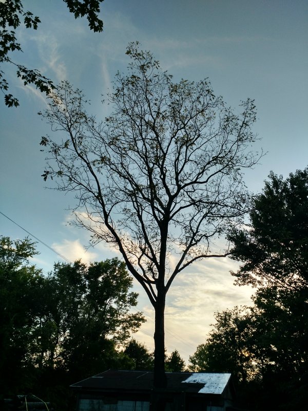 IMG_20190731_192949124_HDR.jpg