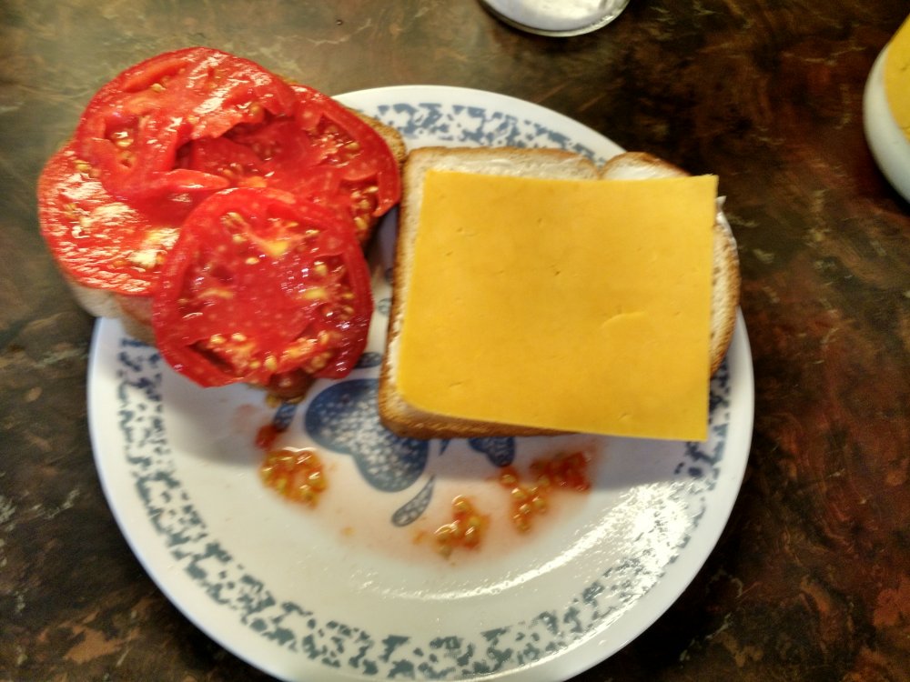 IMG_20190824_142751455_HDR.jpg