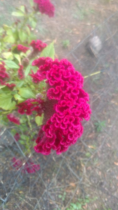 IMG_20191025_165645089.jpg