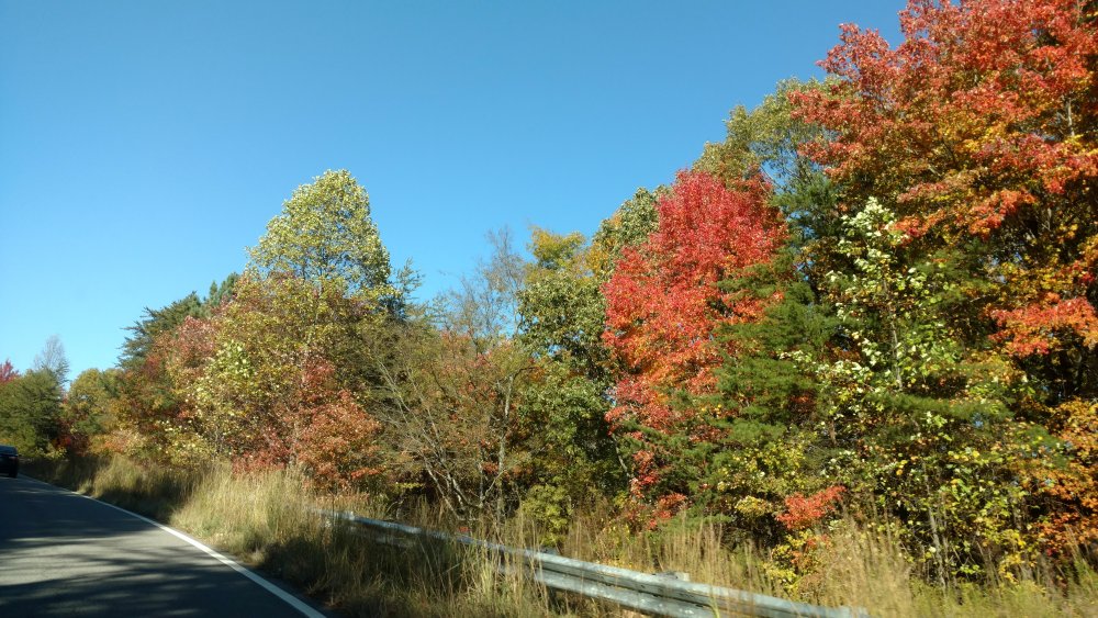 IMG_20191110_122224368.jpg