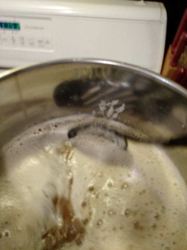 IMG_20191228_180825805.jpg
