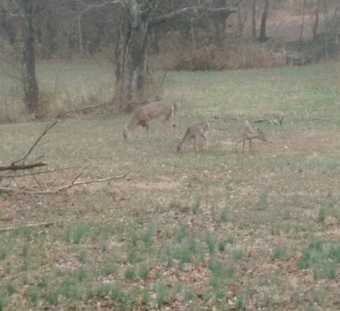 IMG_20200309_170336.jpg