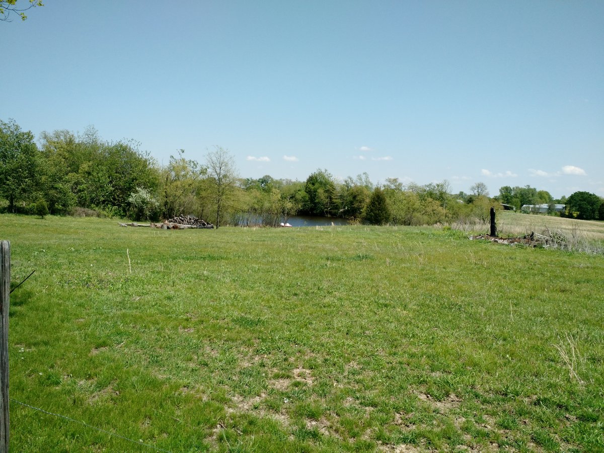 IMG_20200502_133150479.jpg