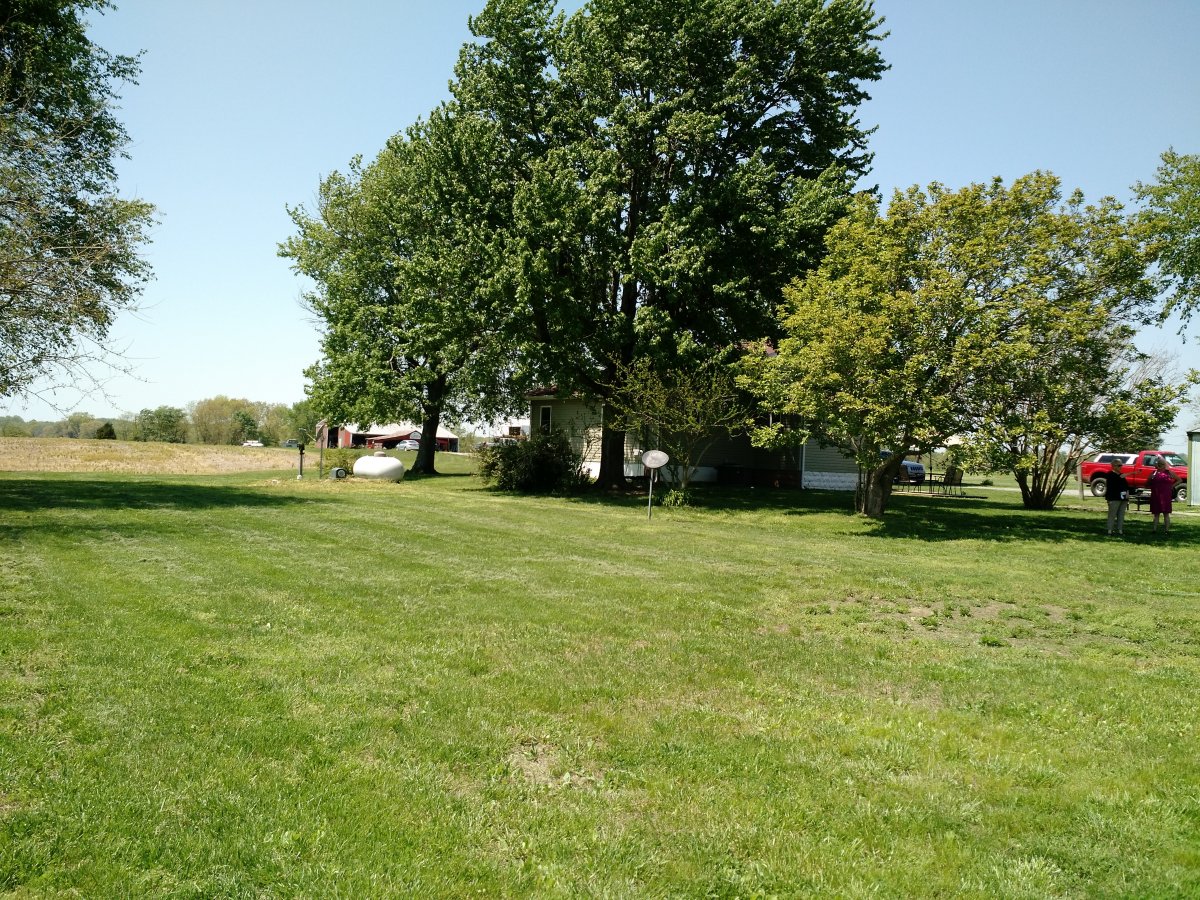 IMG_20200502_133227759.jpg