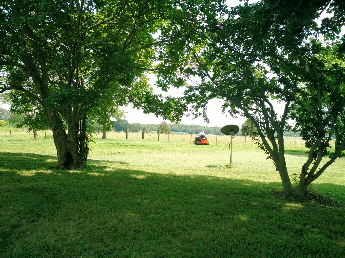 IMG_20200706_140737480.jpg