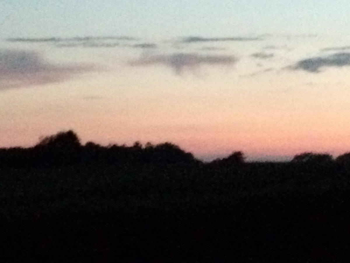 IMG_20200725_204203180.jpg