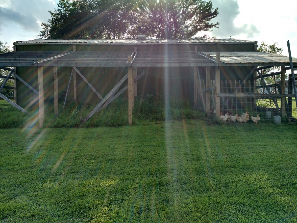 IMG_20200730_174633543_HDR.jpg