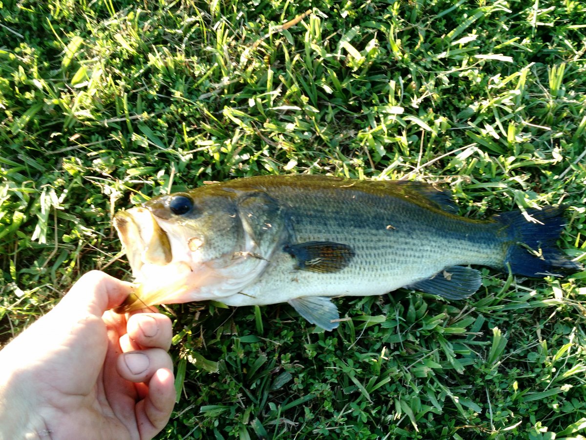 IMG_20200806_185000164.jpg