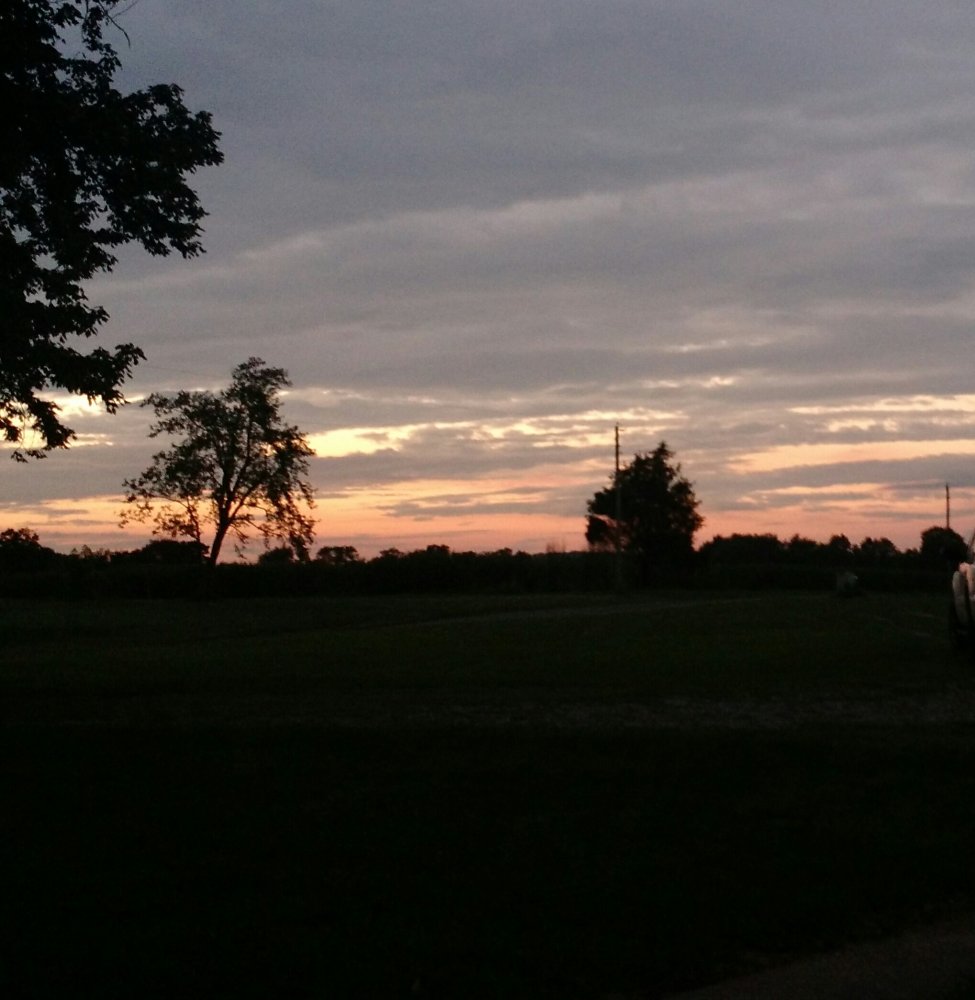 IMG_20200813_195951.jpg