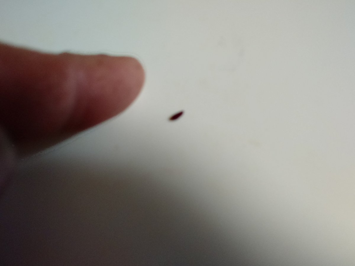 IMG_20200820_223105407.jpg