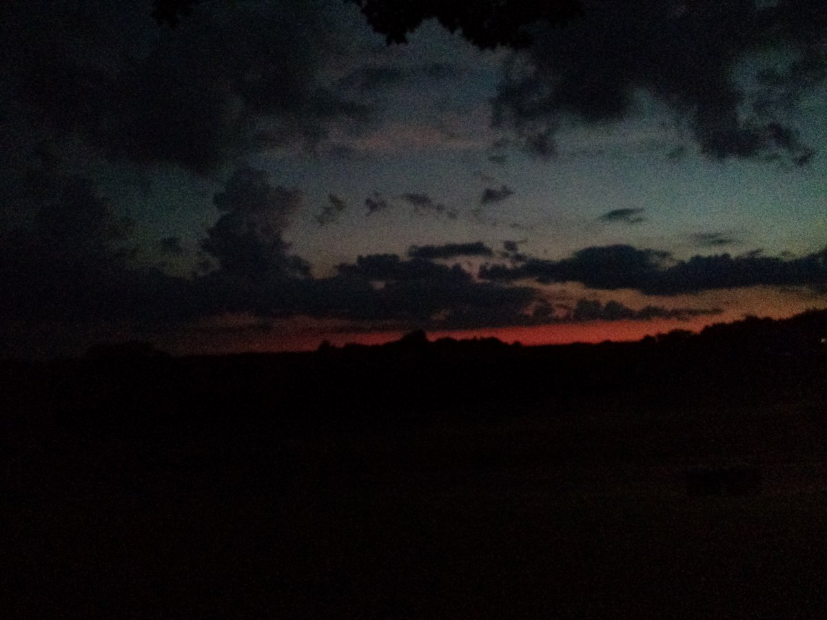 IMG_20200822_201518844.jpg