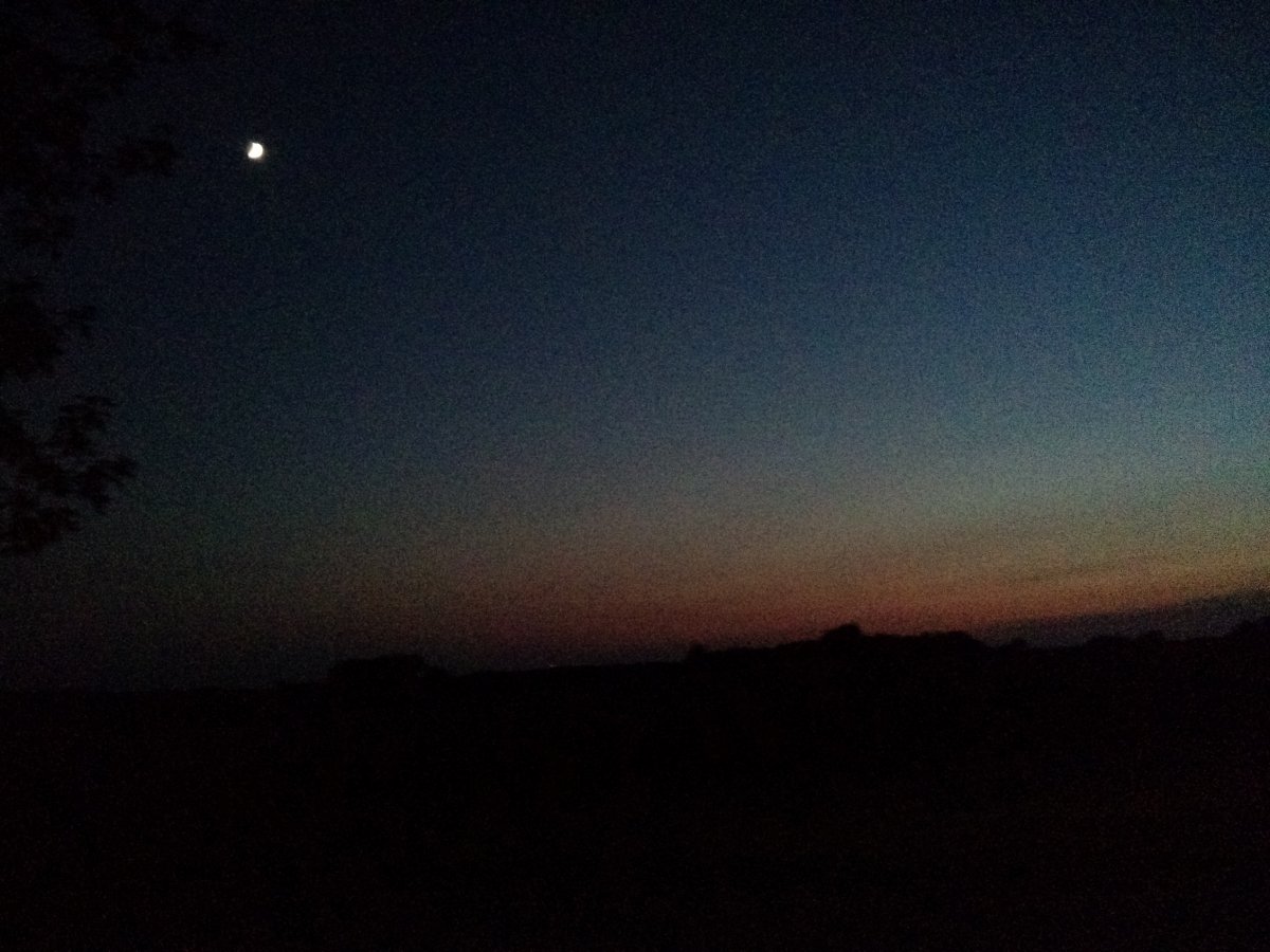 IMG_20200823_201442018.jpg