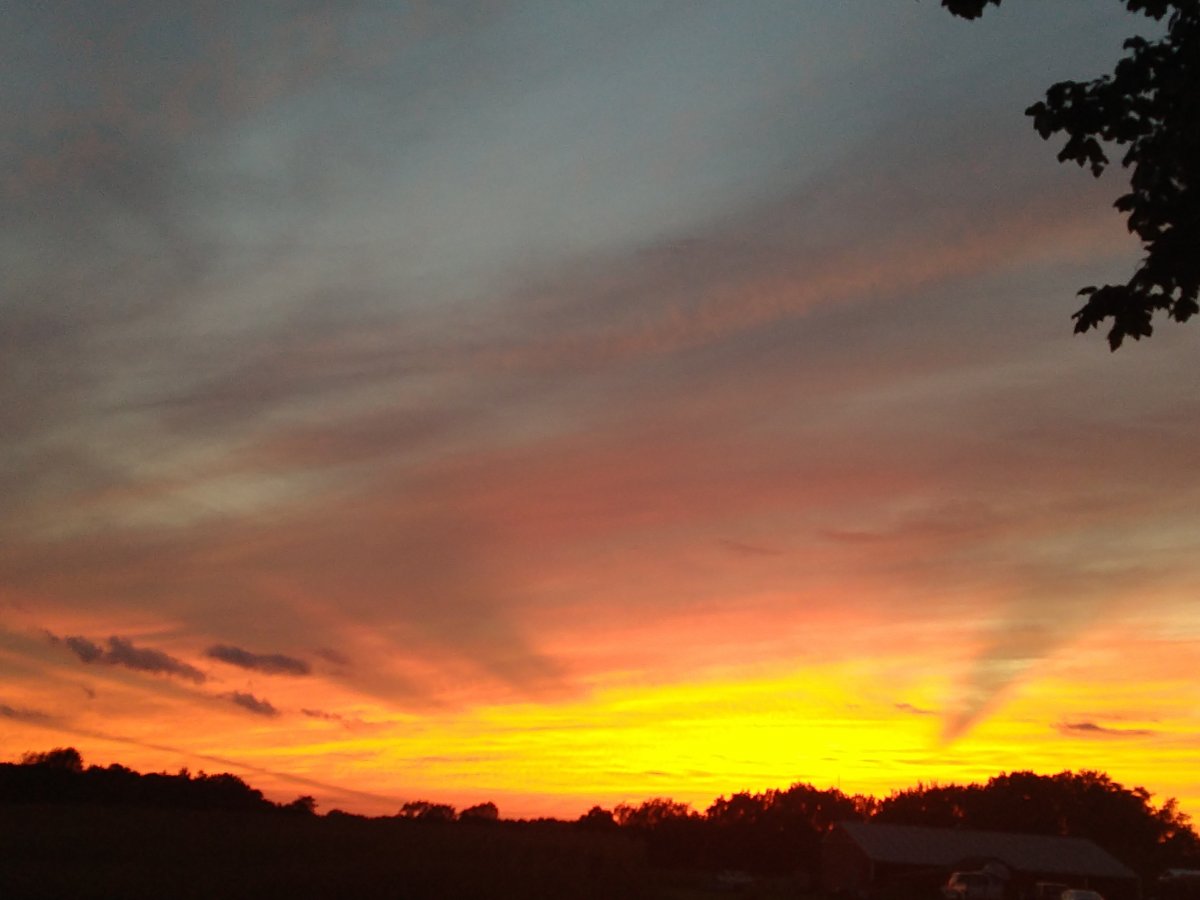 IMG_20200903_193502998.jpg