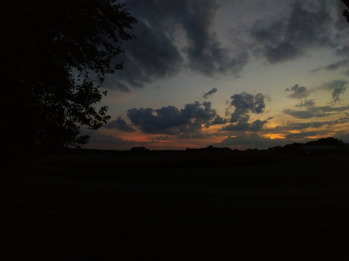 IMG_20200910_192524147.jpg