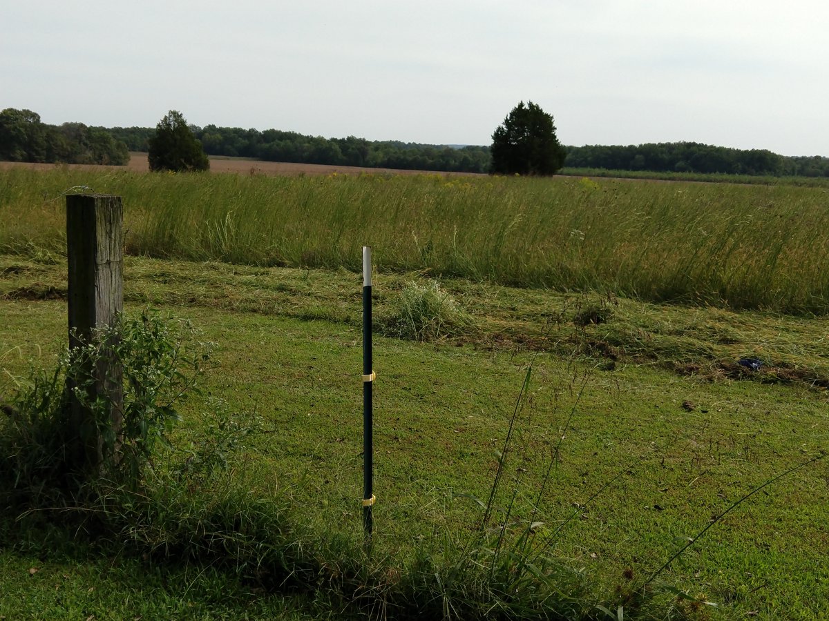 IMG_20200914_141031574.jpg