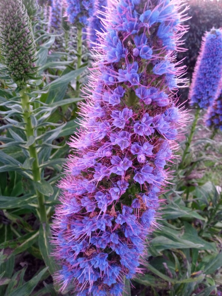 IMG_20200918_175317_896.jpg