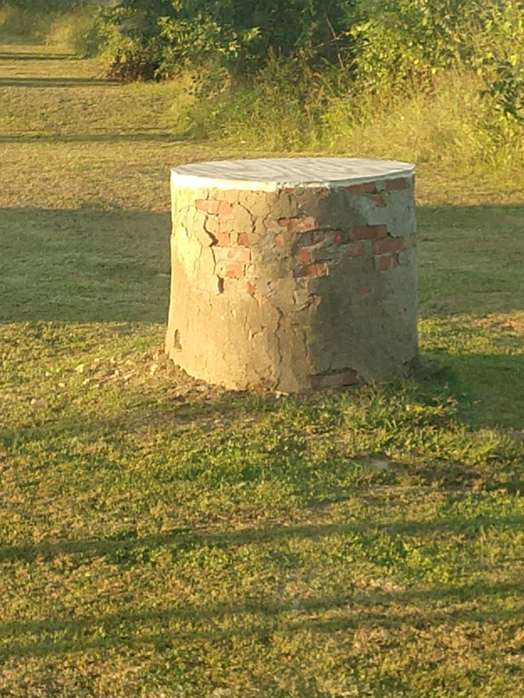 IMG_20200920_181023249.jpg