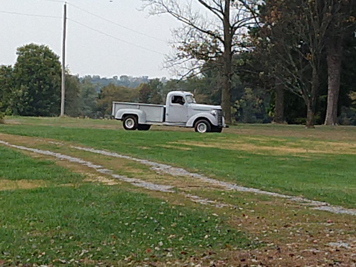 IMG_20201009_163406451.jpg