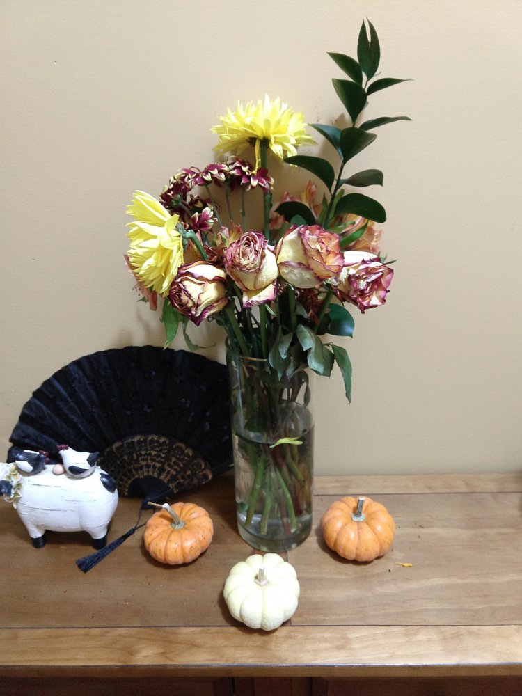 IMG_20201113_225706524.jpg