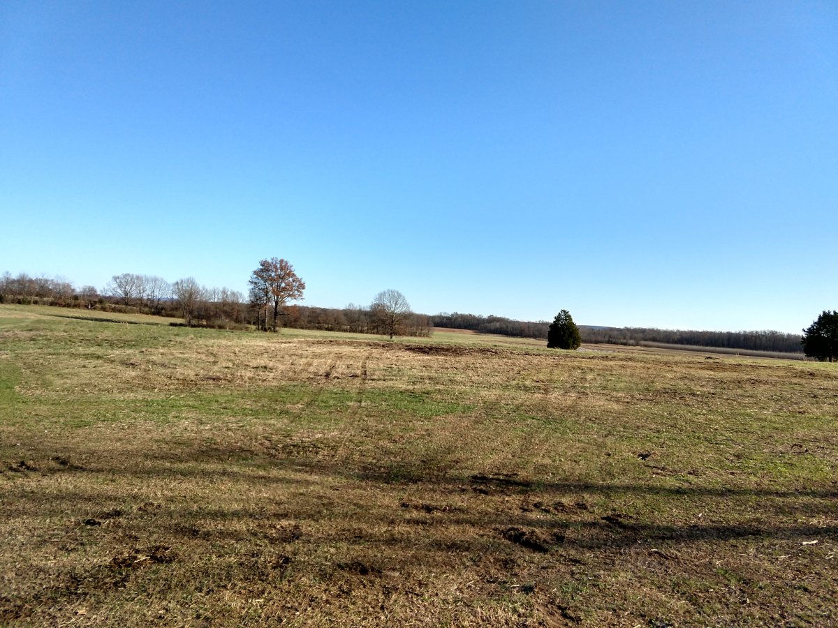 IMG_20201128_143812131_HDR.jpg