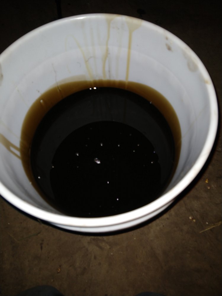IMG_20201130_215422096.jpg