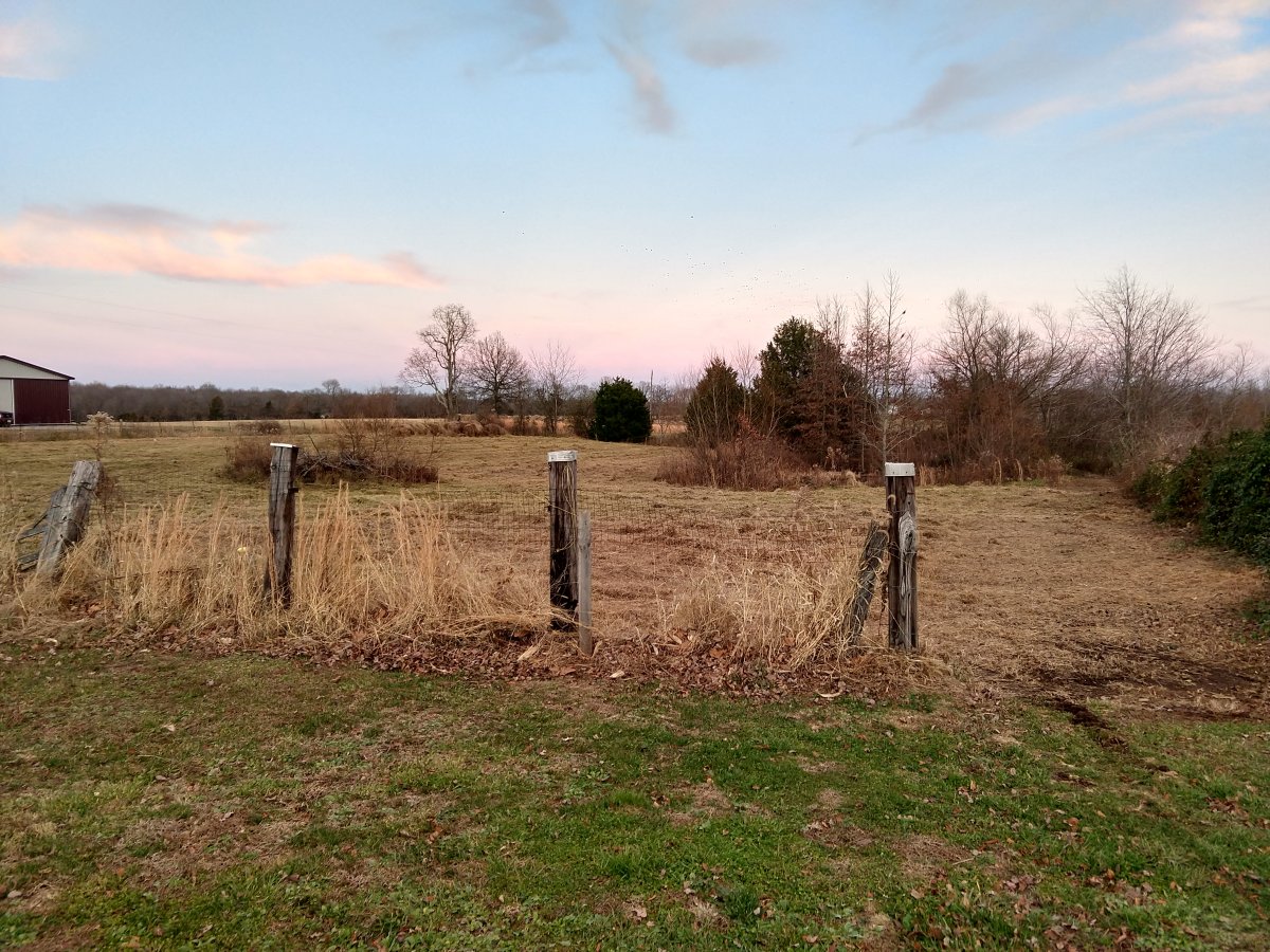 IMG_20201210_163727217_HDR.jpg