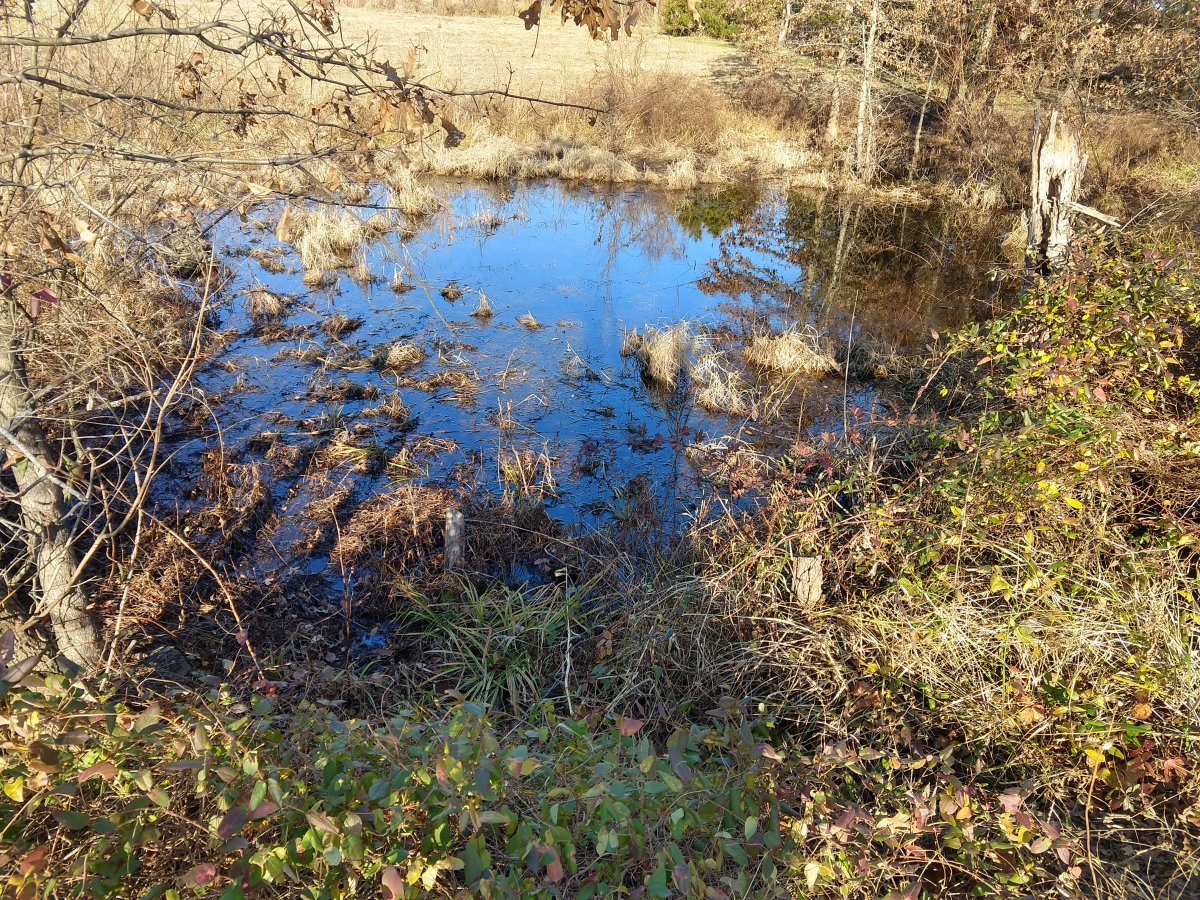 IMG_20201214_135827440_HDR.jpg