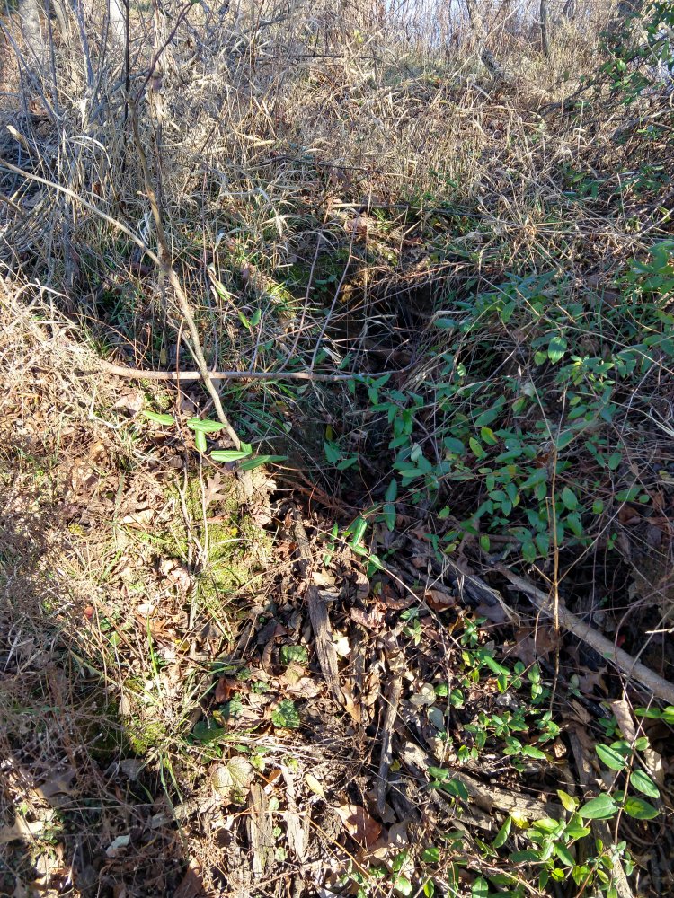 IMG_20201214_140007699_HDR.jpg