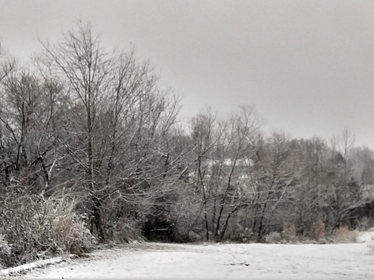 IMG_20201216_082341212_HDR.jpg