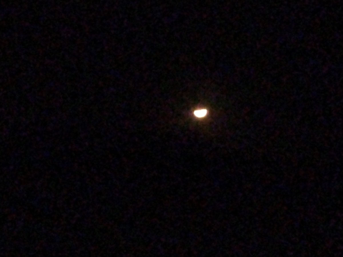 IMG_20201221_234601143.jpg