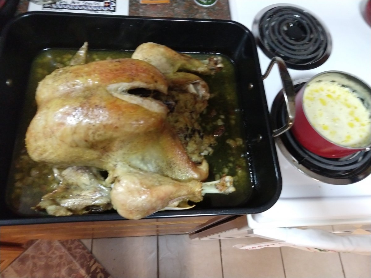 IMG_20210131_201529524.jpg