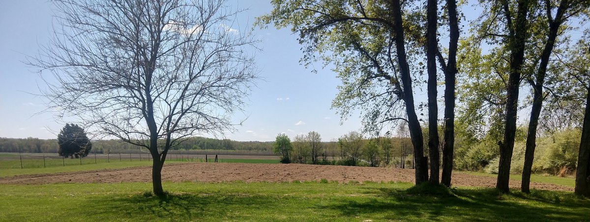IMG_20210415_114444533_HDR~2.jpg