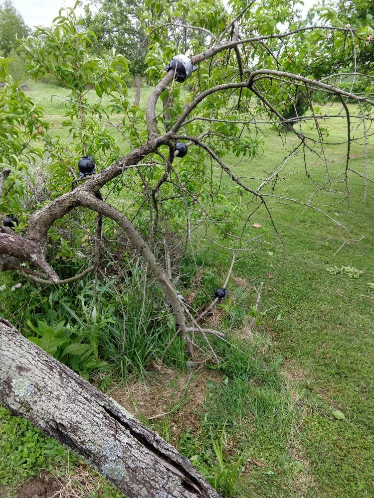 IMG_20210509_153358113_HDR.jpg