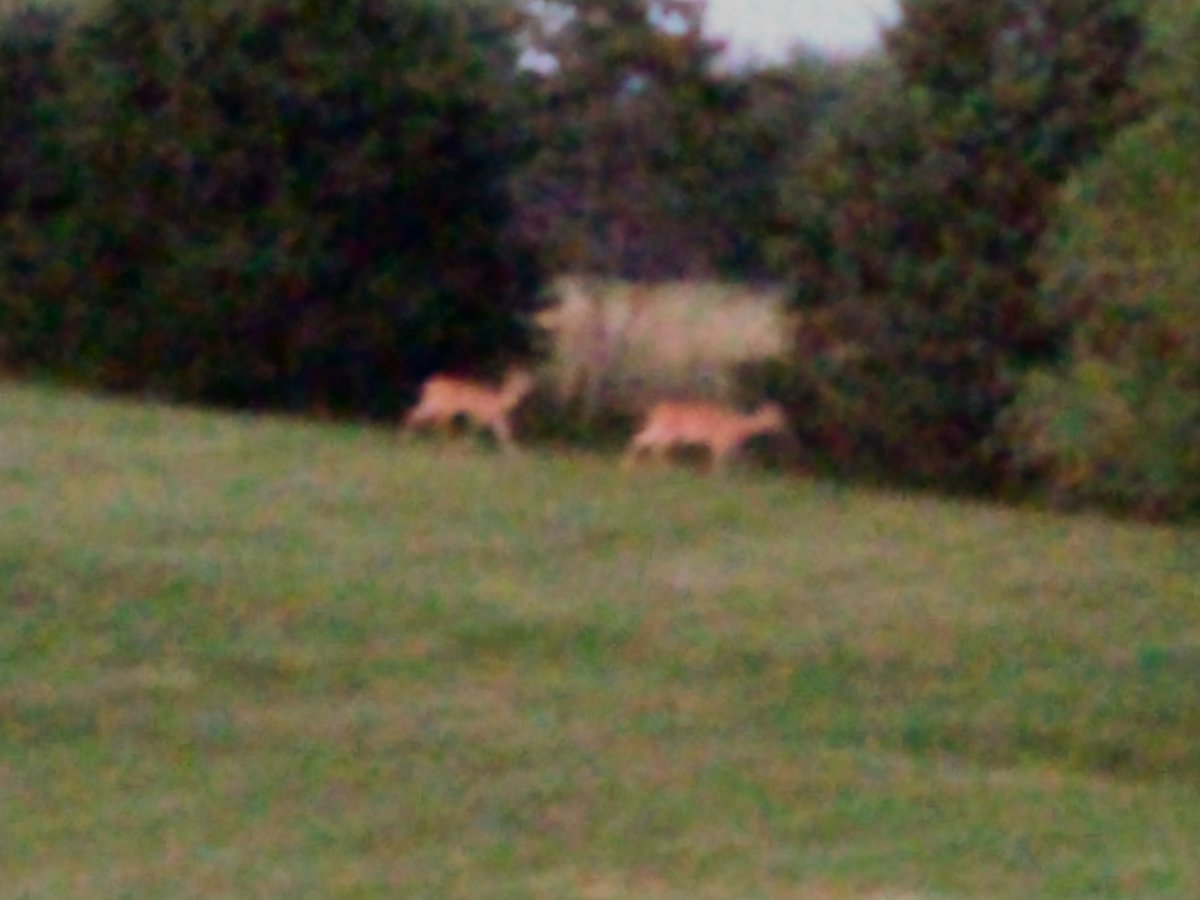 IMG_20210613_212522.jpg