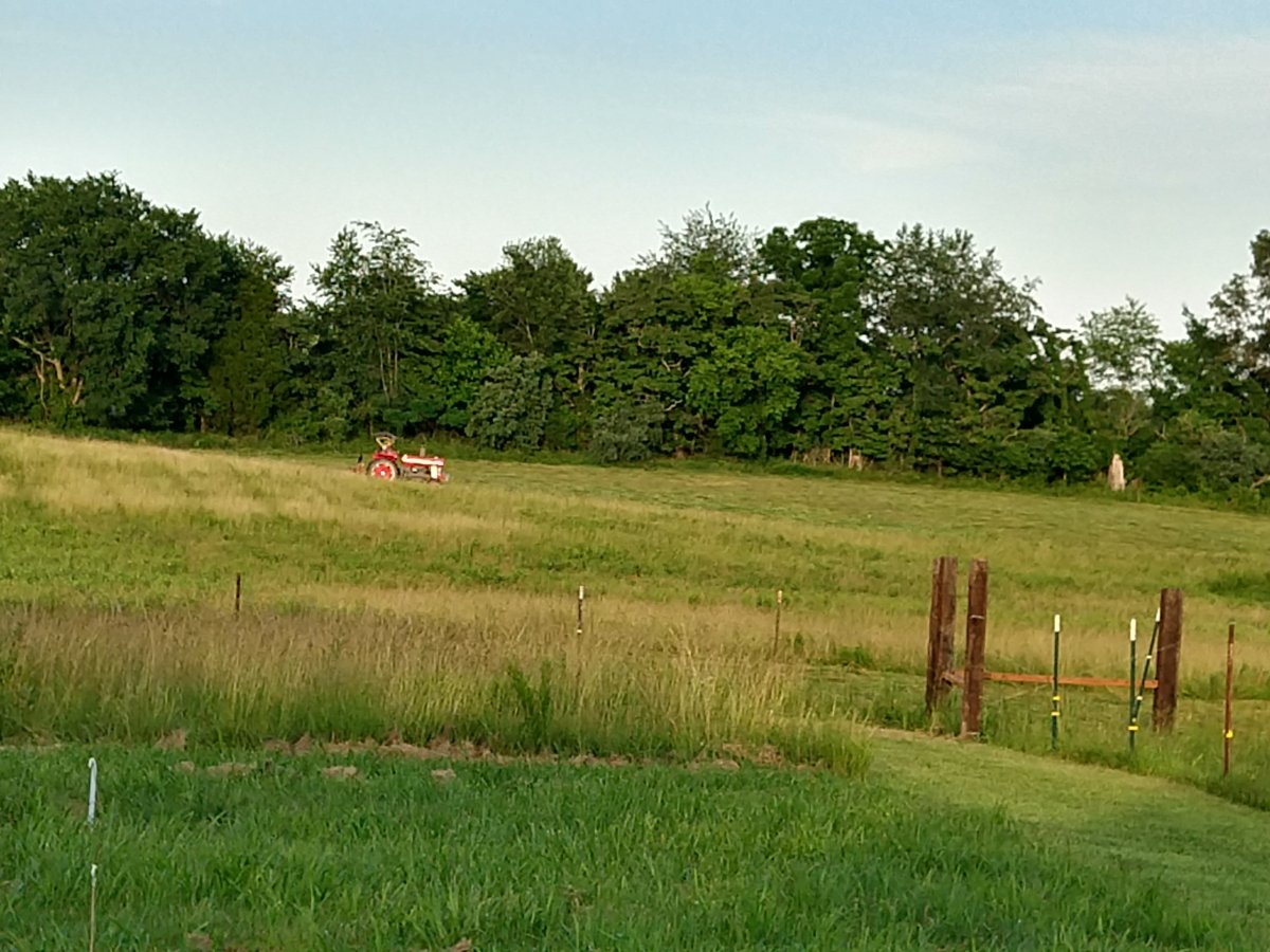 IMG_20210614_191404713_HDR.jpg