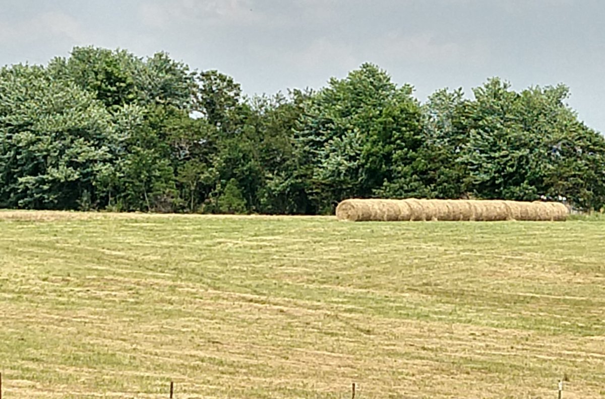 IMG_20210620_145457656_HDR~2.jpg