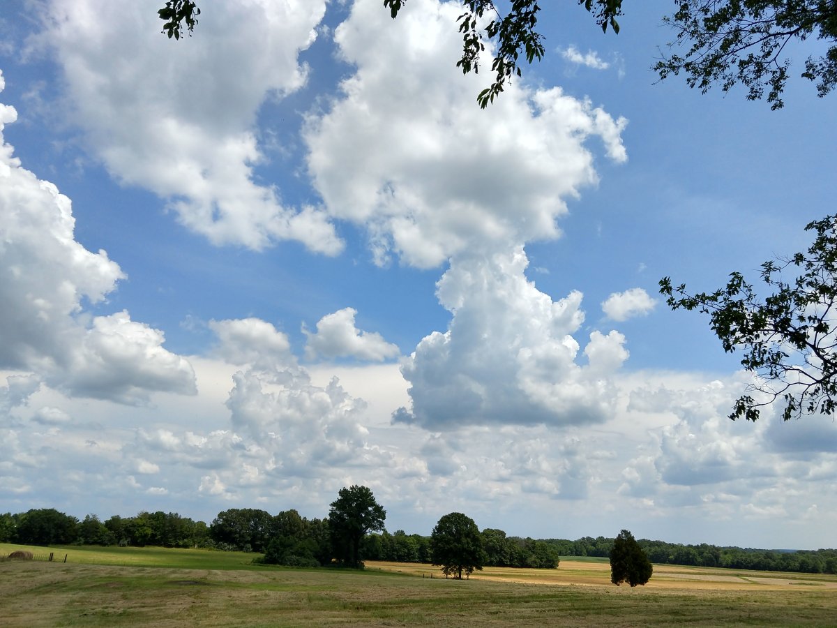 IMG_20210629_141451525_HDR.jpg