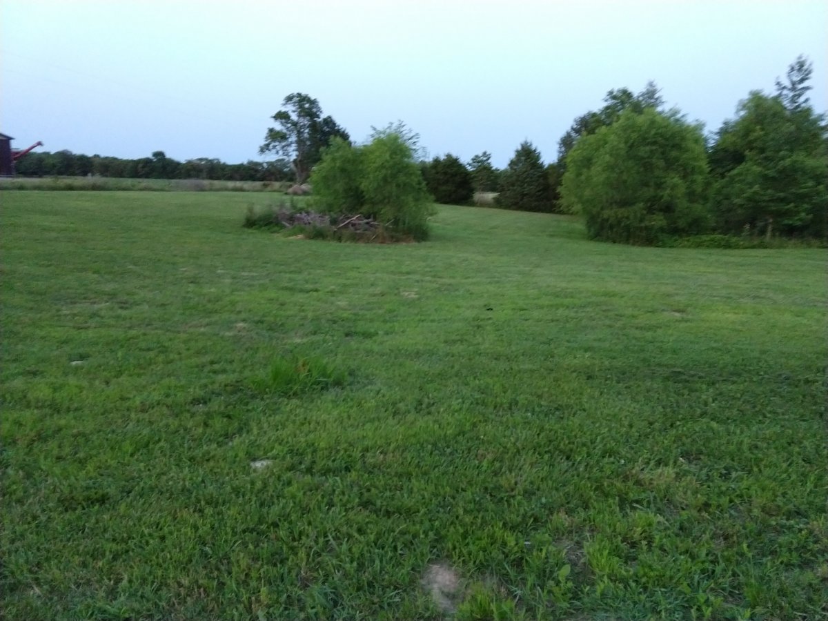 IMG_20210703_202630765.jpg