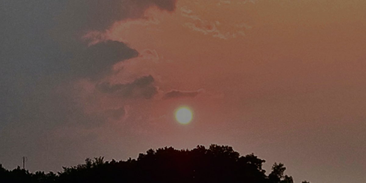 IMG_20210801_193443761_HDR~4.jpg