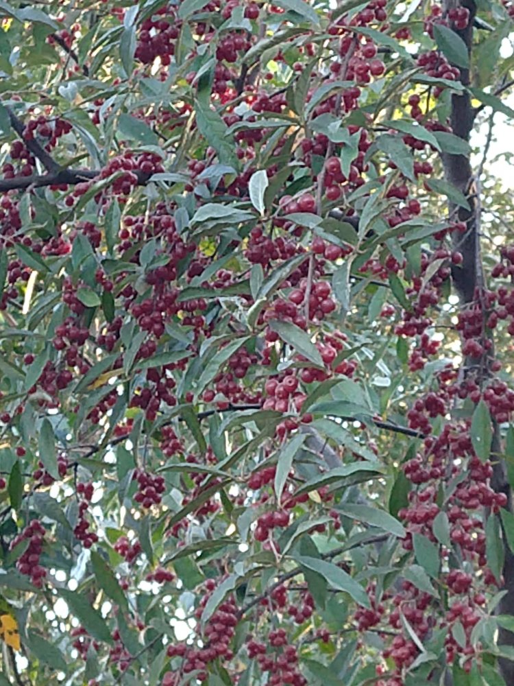 IMG_20210913_175425461.jpg