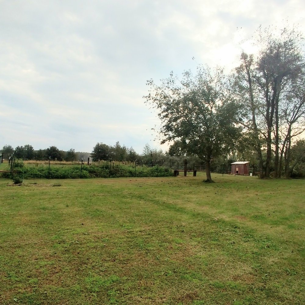 IMG_20211014_154817369_HDR~2.jpg